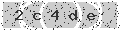 verify code