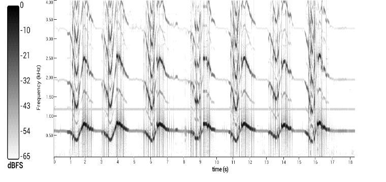 'Inverted' Ferrous Signal